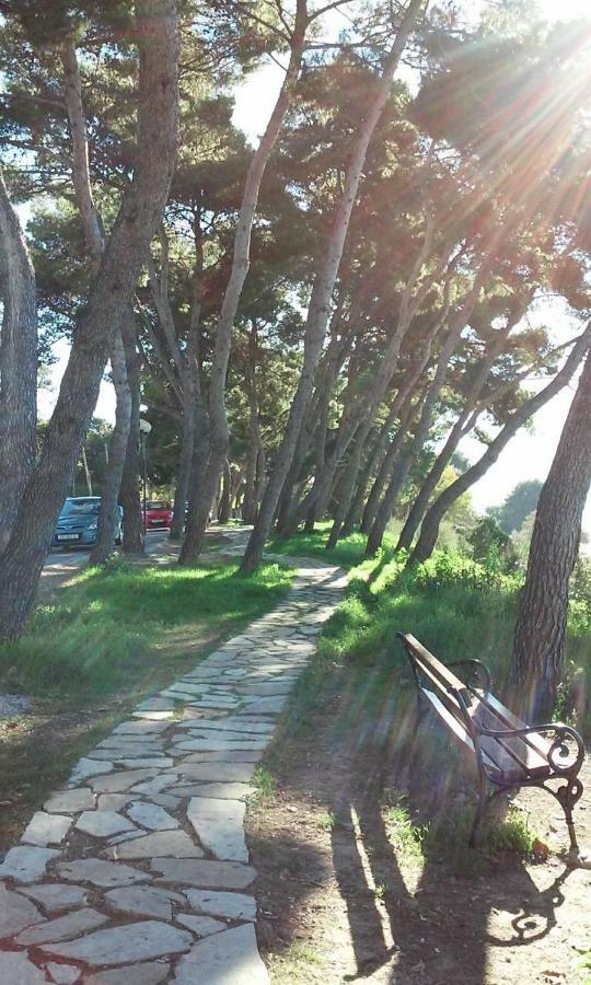 Latmo Apartment Zadar Ngoại thất bức ảnh